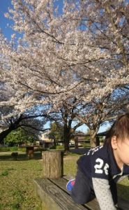 鈴の森公園桜