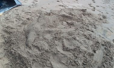 和具の浜